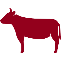 強み、特徴01